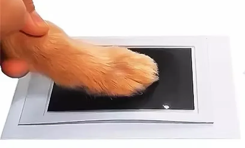 Tassavtryck på dyna