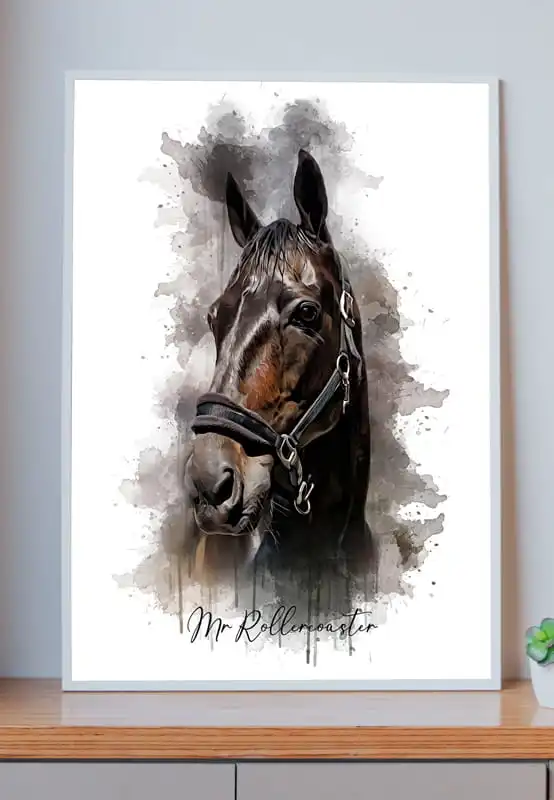 Mr. Rollercoaster efter