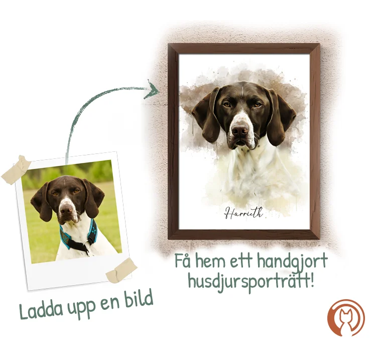 Förklarande bild om beställningsprocessen. Från mobilbild till färdig tavla i akvarellstil och en pil mellan bilderna. Text på bilden: Ladda upp en bild, få hem ett handgjort husdjursporträtt!