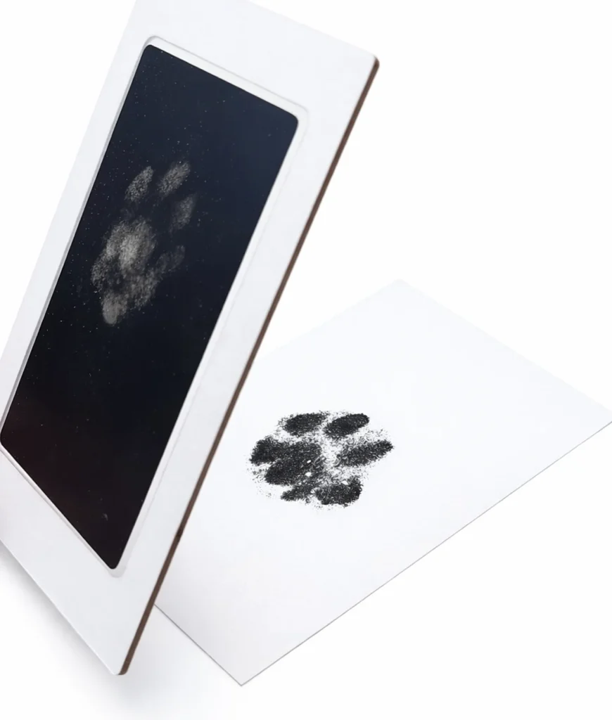 Tassavtryck-kit för att klona ett husdjurs tassavtryck